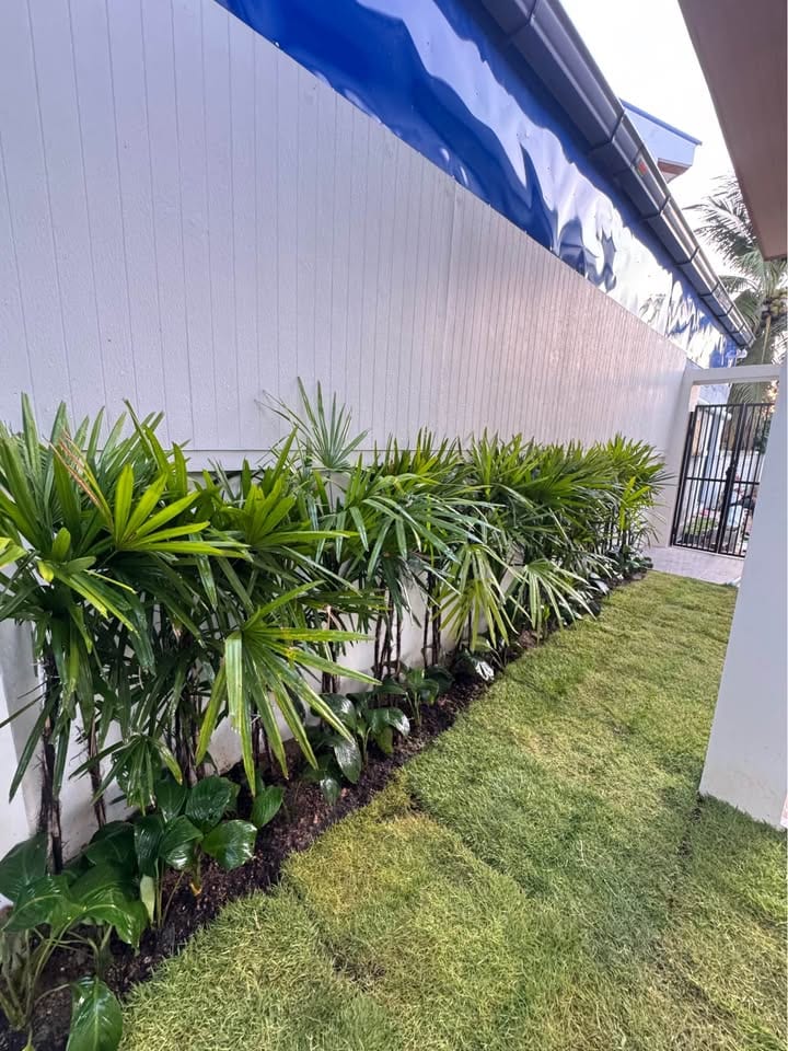 New Single House with Room for a Pool — Ban Don, Cherng Talay 9