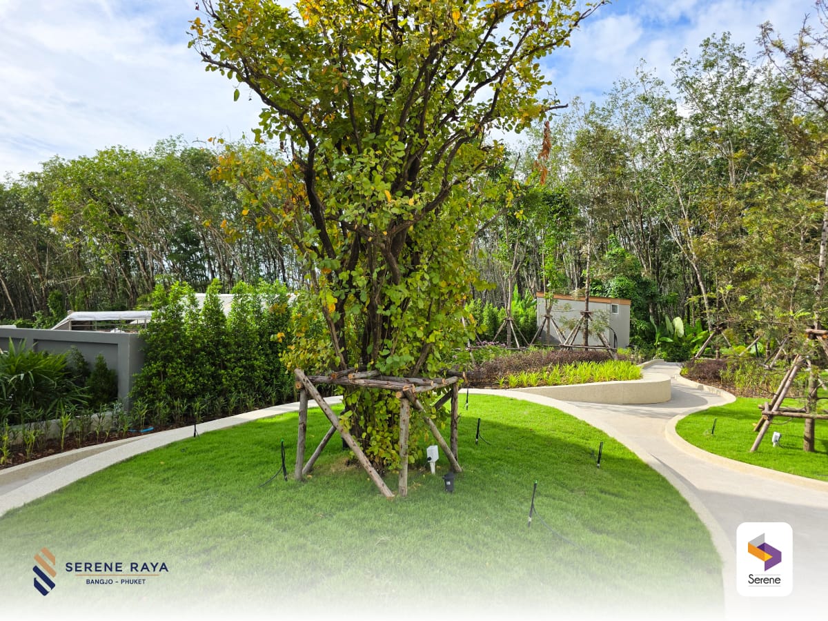 Luxury Pool Villas for Sale at Serene Raya, Bang Jo 65