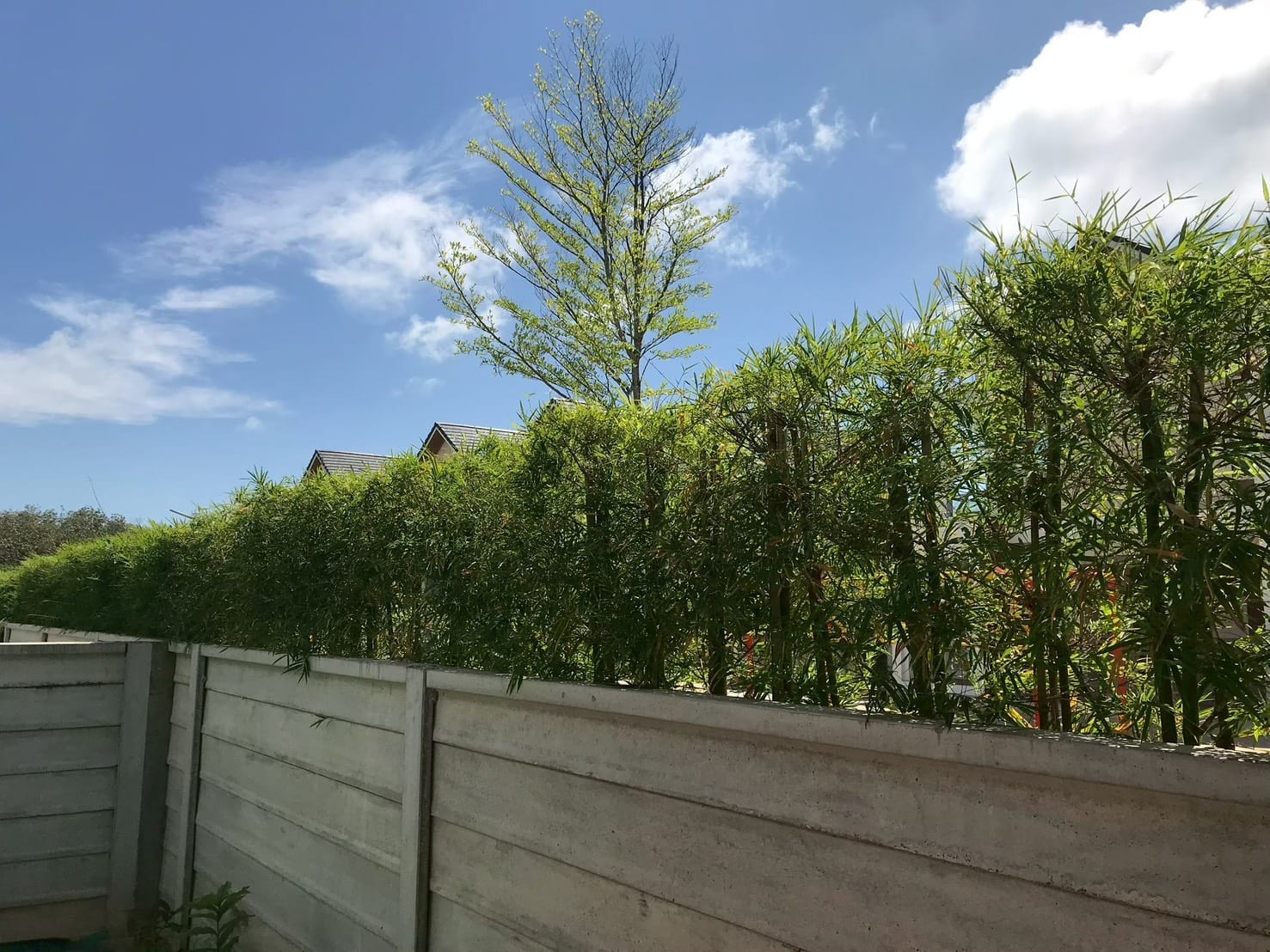 Modern 3-Bedroom Detached House - Hideaway Valley Chalong 25