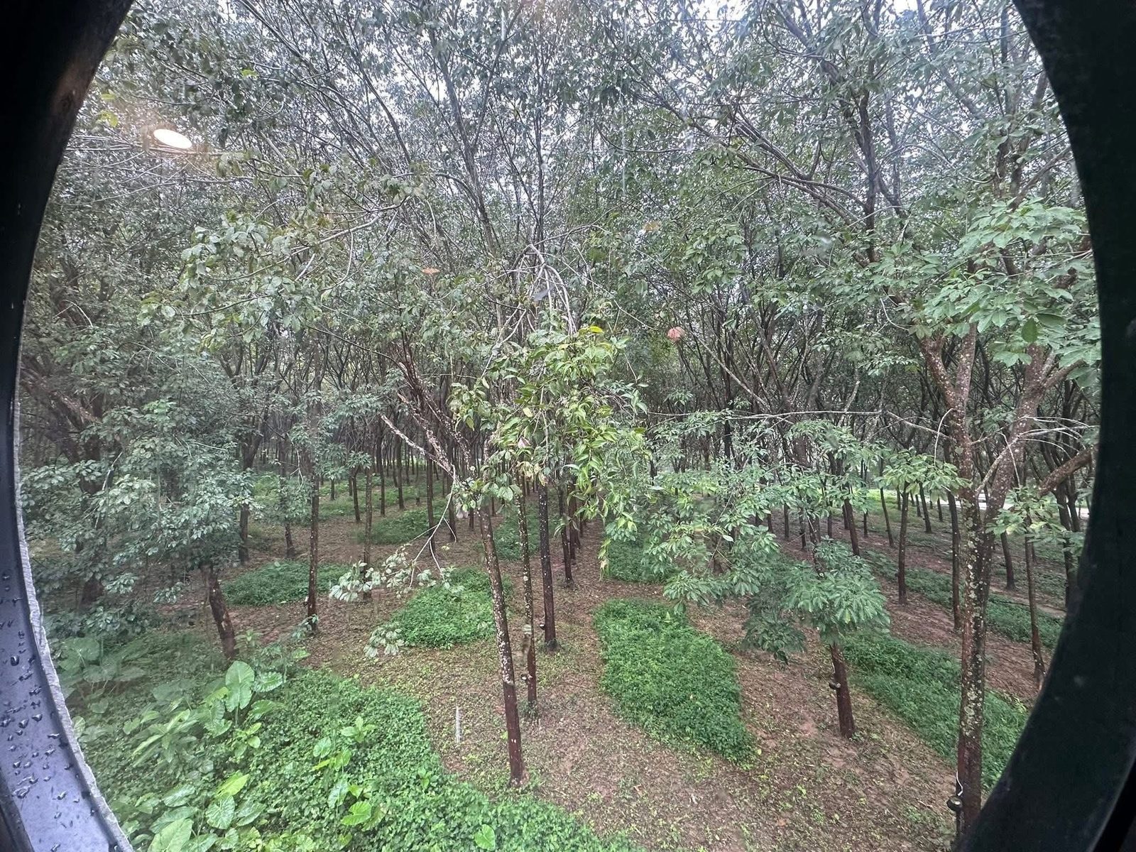 House in Chalong