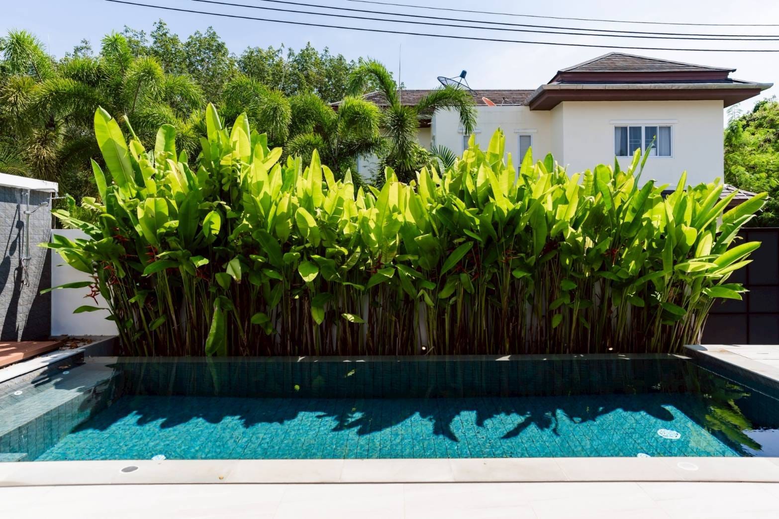 Single-Storey Private Pool Villa in Maneekram, Chalong 5