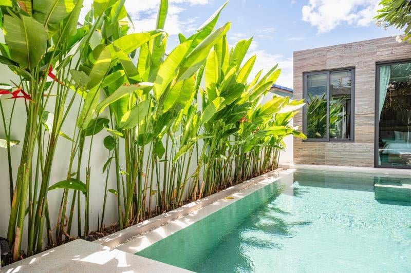 Modern Pool Villa with Frangipani Courtyard — Chalong 7
