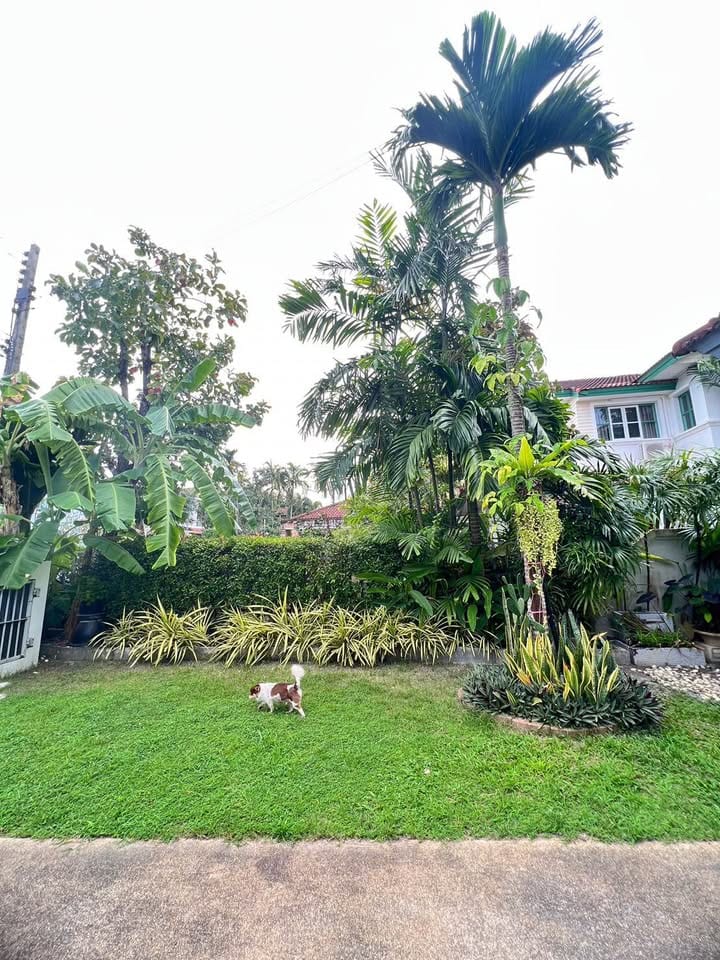 Pool Villa with Guest House — Land & Houses Park, Chalong 6