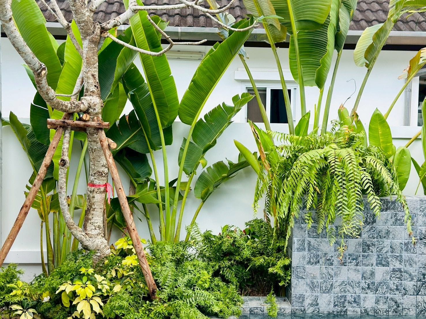 Modern Pool Villa — Chalong 15