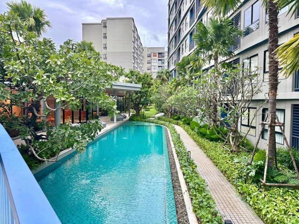 1-Bedroom Apartment — D Condo Reef, Kathu 7