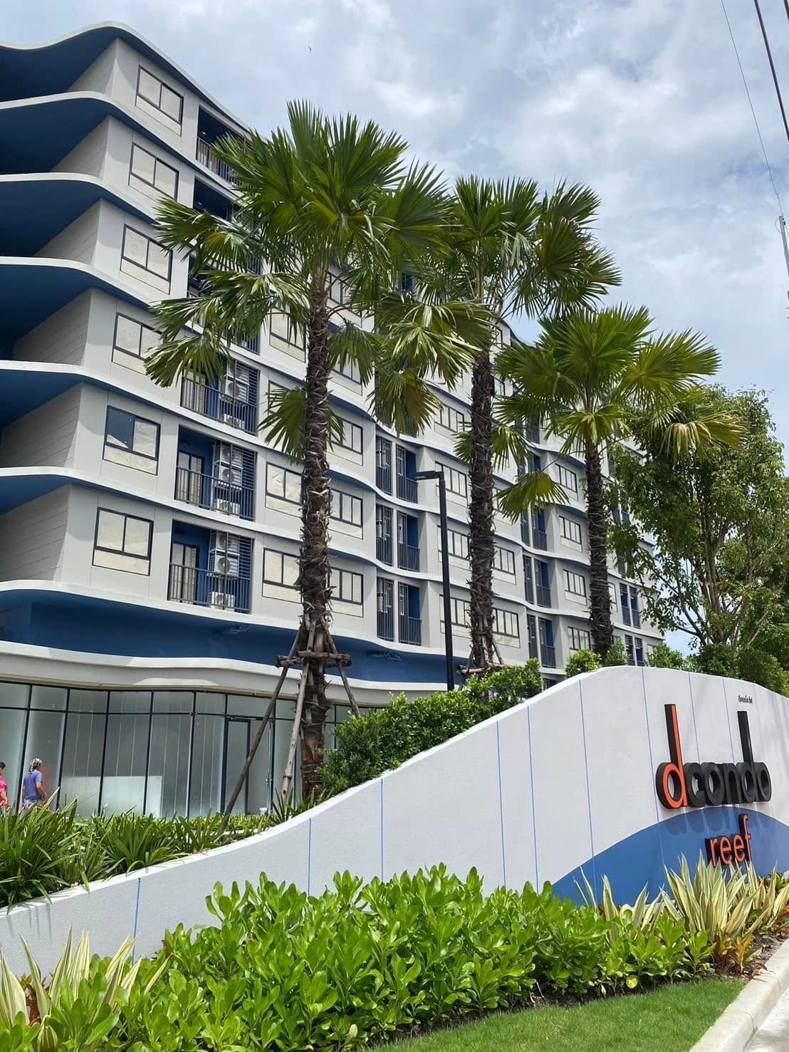 One-Bedroom Apartment — D Condo Reef, Kathu 2