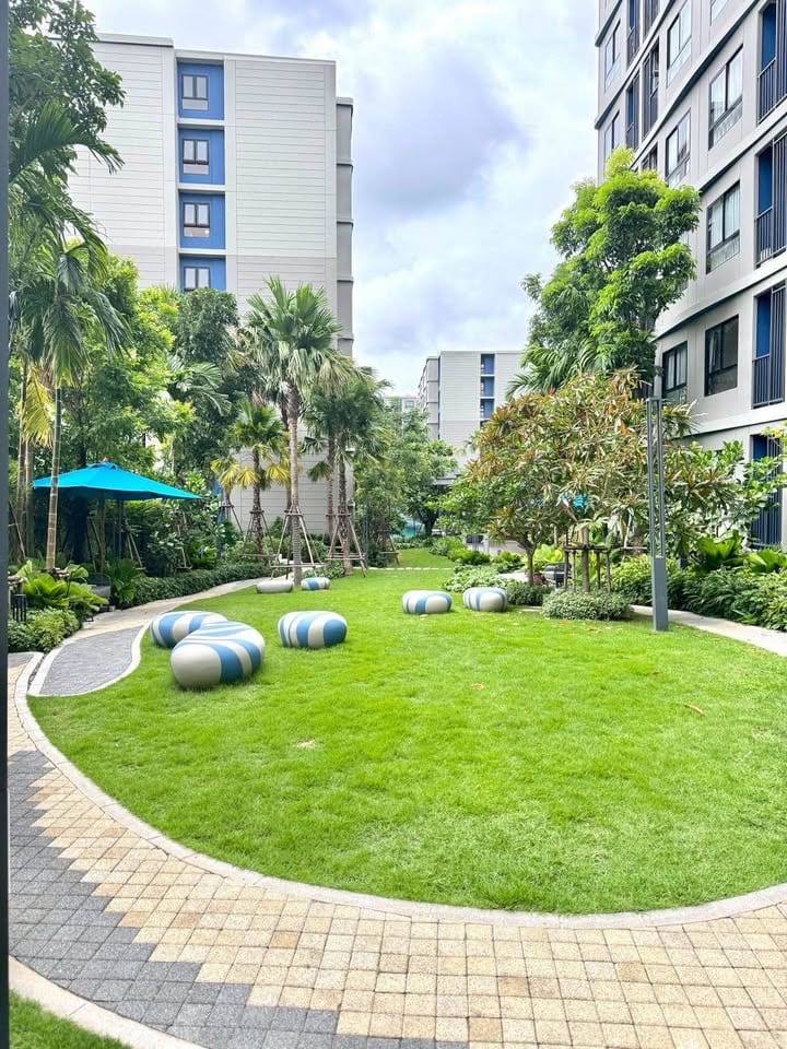 Tenanted 1-Bedroom Apartment — dcondo Reef, Kathu 5