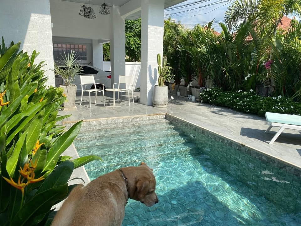 Pool Villa with German Kitchen — Kathu 3