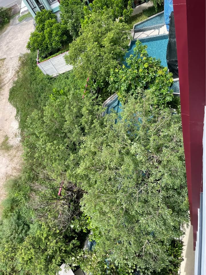 2-Bedroom Condo for Rent in Phuket Town — exterior view