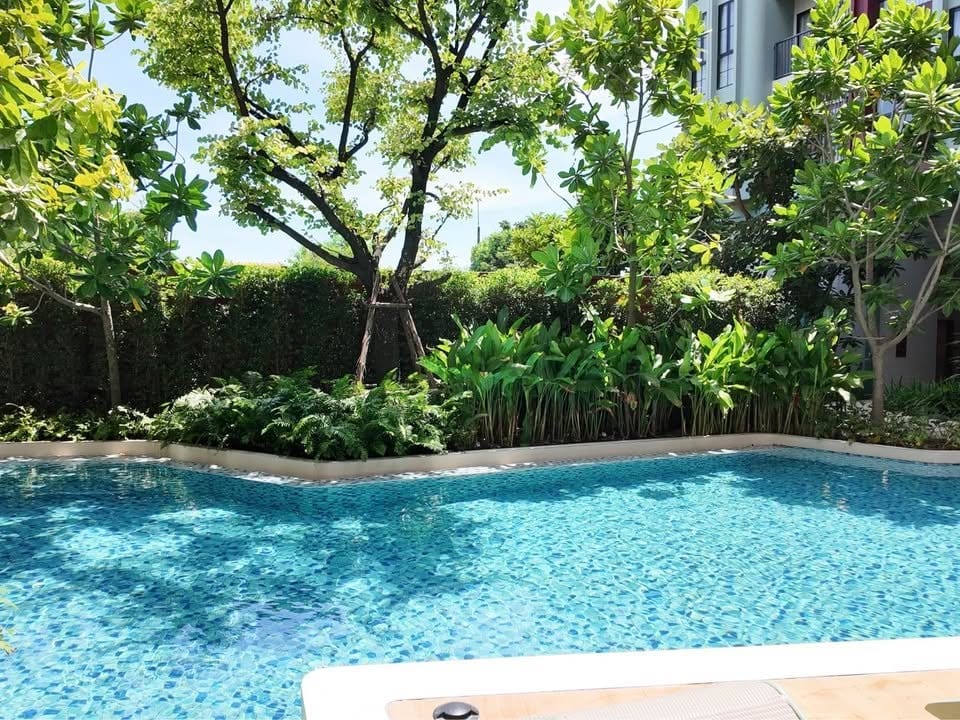 Studio Apartment in the Heart of Phuket City — The Base
