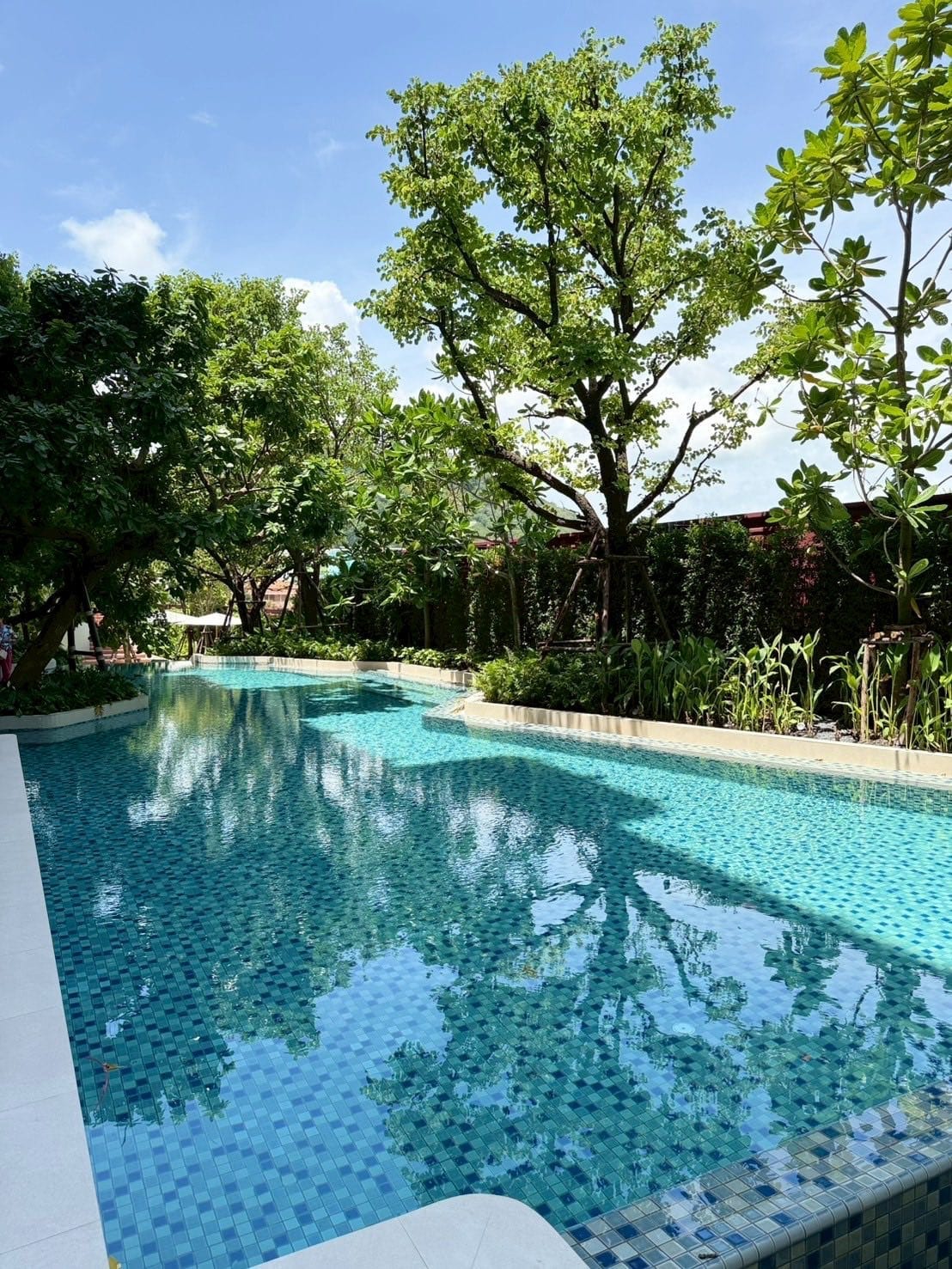 Brand New 1-Bedroom Apartment — The Base, Phuket Town