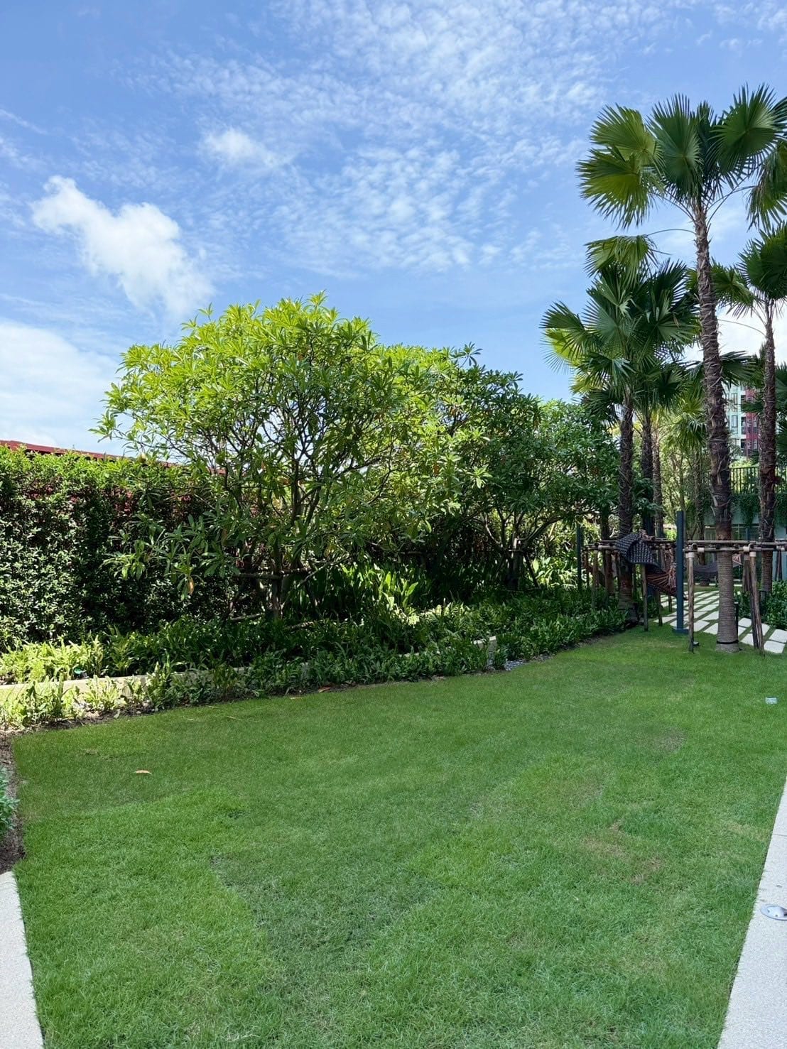 Brand New 1-Bedroom Apartment — The Base, Phuket Town 2