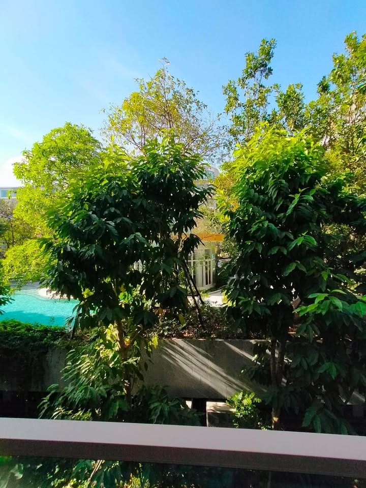 1-Bedroom Condominium for Rent in Phuket Town — exterior view