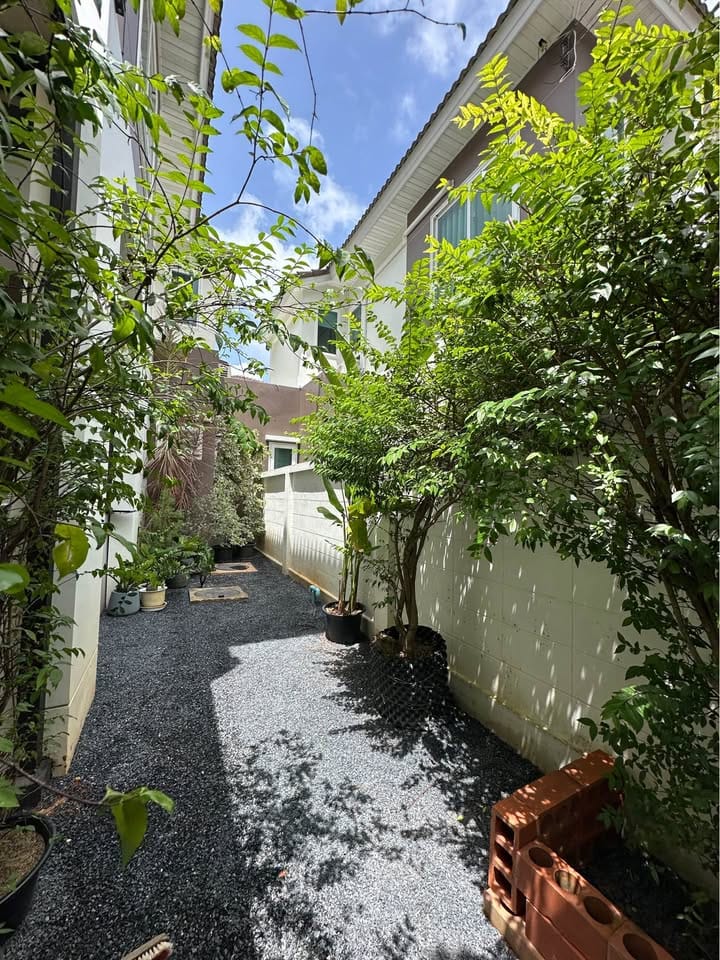 3-Bedroom Family Home in Supalai Bella, Thalang 15